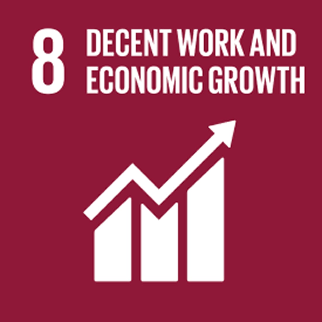 UNs sustainability goal 8_ Decent work and economic growth