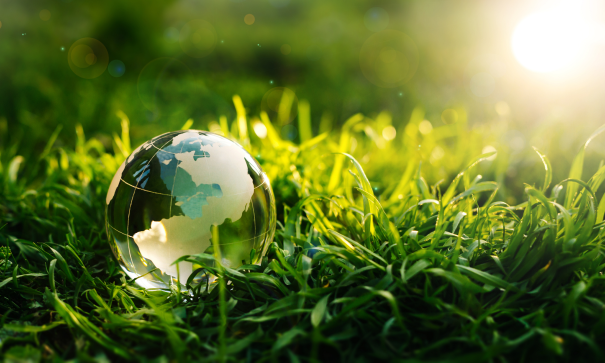 crystal-planet-earth-green-grass-sunset-environmental-earth-day-concept-1